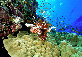 La mer rouge